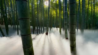 すがすがしい秋晴れが続きますね🍂